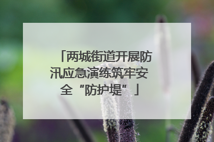 两城街道开展防汛应急演练筑牢安全“防护堤”