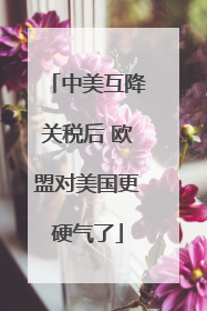 中美互降关税后 欧盟对美国更硬气了