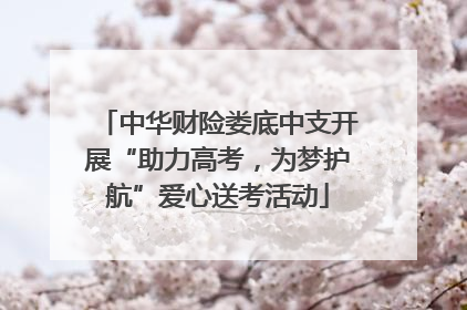 中华财险娄底中支开展“助力高考，为梦护航”爱心送考活动