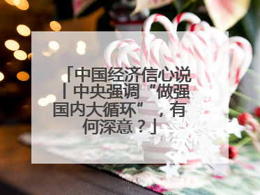 中国经济信心说丨中央强调“做强国内大循环”，有何深意？