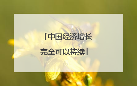 中国经济增长完全可以持续