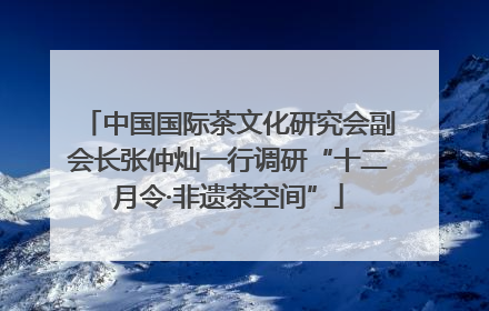中国国际茶文化研究会副会长张仲灿一行调研“十二月令·非遗茶空间”