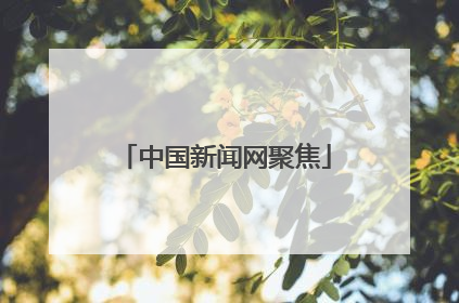 中国新闻网聚焦