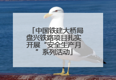 中国铁建大桥局盘兴铁路项目扎实开展“安全生产月”系列活动