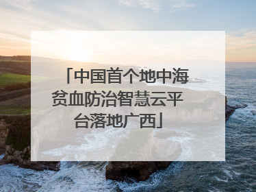 中国首个地中海贫血防治智慧云平台落地广西