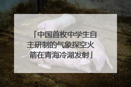 中国首枚中学生自主研制的气象探空火箭在青海冷湖发射