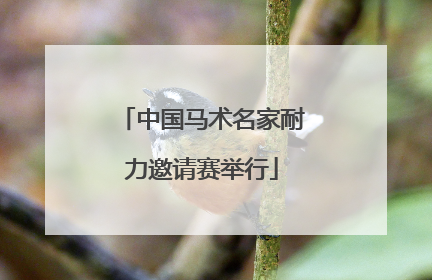 中国马术名家耐力邀请赛举行