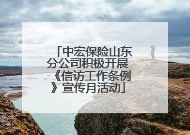 中宏保险山东分公司积极开展《信访工作条例》宣传月活动