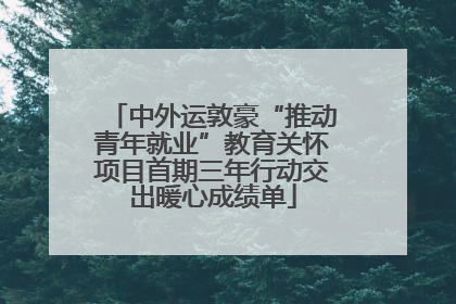 中外运敦豪“推动青年就业”教育关怀项目首期三年行动交出暖心成绩单