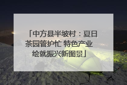 中方县半坡村：夏日茶园管护忙 特色产业绘就振兴新图景