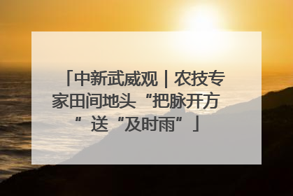 中新武威观｜农技专家田间地头“把脉开方”送“及时雨”