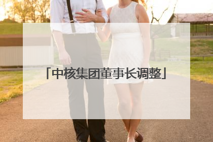 中核集团董事长调整