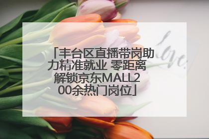 丰台区直播带岗助力精准就业 零距离解锁京东MALL200余热门岗位