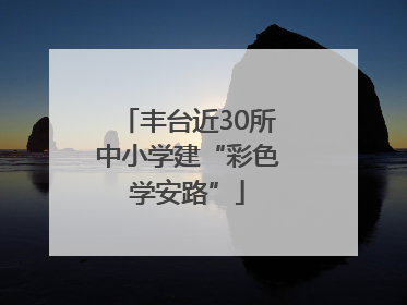 丰台近30所中小学建“彩色学安路”
