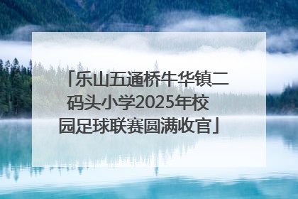 乐山五通桥牛华镇二码头小学2025年校园足球联赛圆满收官