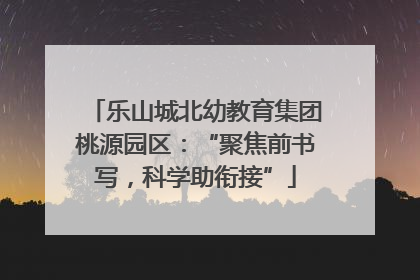 乐山城北幼教育集团桃源园区：“聚焦前书写，科学助衔接”