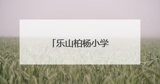 乐山柏杨小学让中华优秀传统文化代代相传