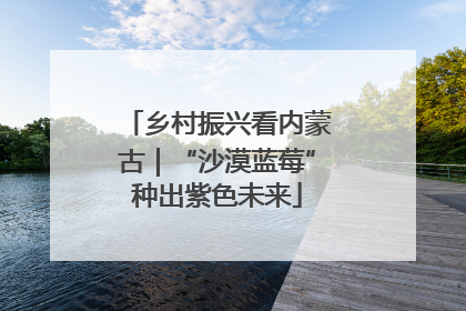 乡村振兴看内蒙古｜“沙漠蓝莓”种出紫色未来
