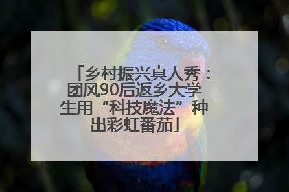 乡村振兴真人秀：团风90后返乡大学生用“科技魔法”种出彩虹番茄