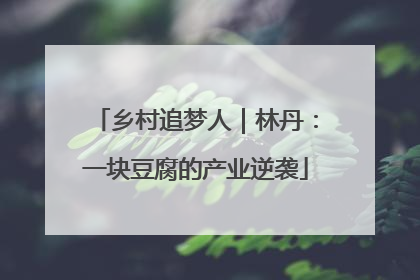 乡村追梦人｜林丹：一块豆腐的产业逆袭