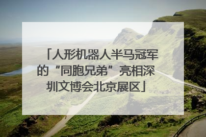 人形机器人半马冠军的“同胞兄弟”亮相深圳文博会北京展区