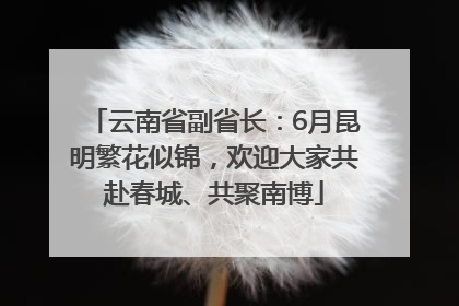 云南省副省长：6月昆明繁花似锦，欢迎大家共赴春城、共聚南博