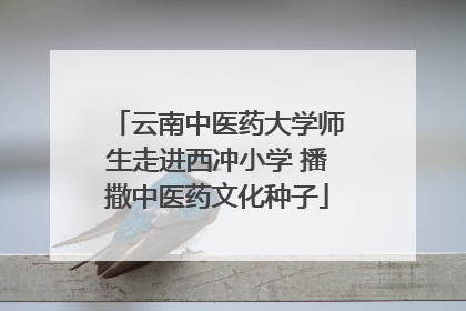 云南中医药大学师生走进西冲小学 播撒中医药文化种子