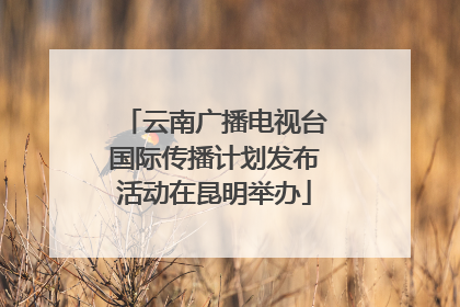 云南广播电视台国际传播计划发布活动在昆明举办