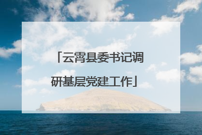 云霄县委书记调研基层党建工作