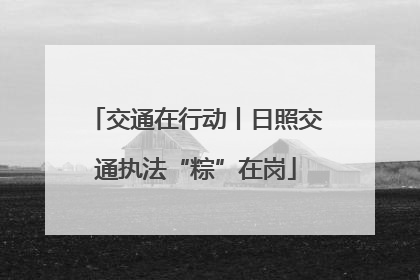 交通在行动丨日照交通执法“粽”在岗
