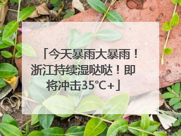 今天暴雨大暴雨！浙江持续湿哒哒！即将冲击35℃+