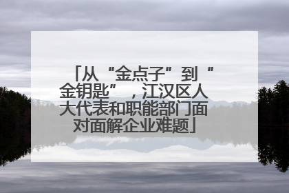 从“金点子”到“金钥匙”，江汉区人大代表和职能部门面对面解企业难题