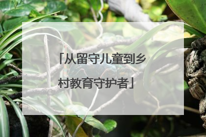 从留守儿童到乡村教育守护者