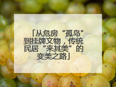从危房“孤岛”到挂牌文物，传统民居“来其美”的变美之路