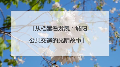 从档案看发展：城阳公共交通的光阴故事