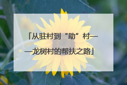 从驻村到“助”村——龙树村的帮扶之路