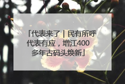 代表来了｜民有所呼代表有应，增江400多年古码头焕新