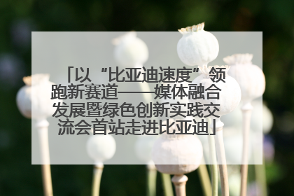 以“比亚迪速度”领跑新赛道——媒体融合发展暨绿色创新实践交流会首站走进比亚迪