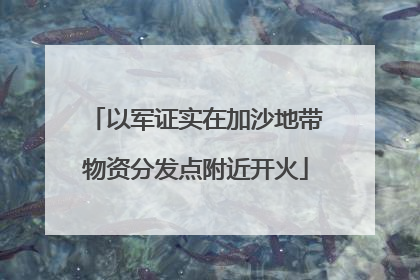 以军证实在加沙地带物资分发点附近开火
