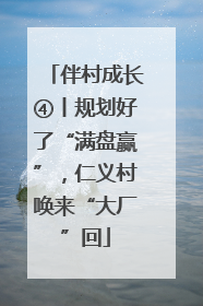 伴村成长④丨规划好了“满盘赢”，仁义村唤来“大厂”回