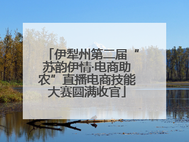 伊犁州第二届“苏韵伊情·电商助农”直播电商技能大赛圆满收官