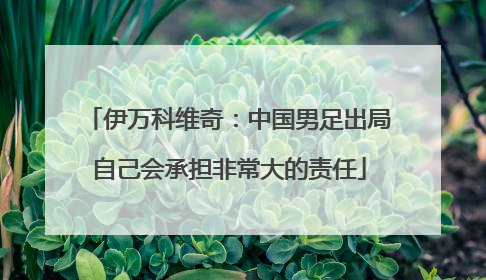 伊万科维奇：中国男足出局自己会承担非常大的责任