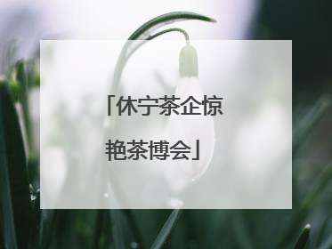 休宁茶企惊艳茶博会