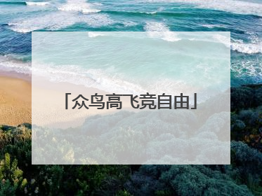 众鸟高飞竞自由
