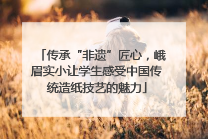 传承“非遗”匠心，峨眉实小让学生感受中国传统造纸技艺的魅力