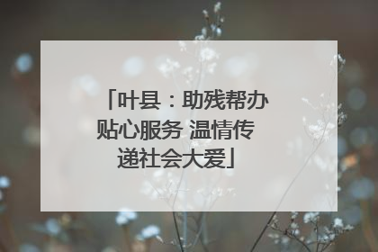 叶县：助残帮办贴心服务 温情传递社会大爱