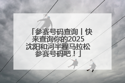 参赛号码查询丨快来查询你的2025沈阳和河半程马拉松参赛号码吧！
