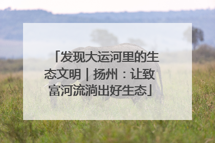 发现大运河里的生态文明｜扬州：让致富河流淌出好生态