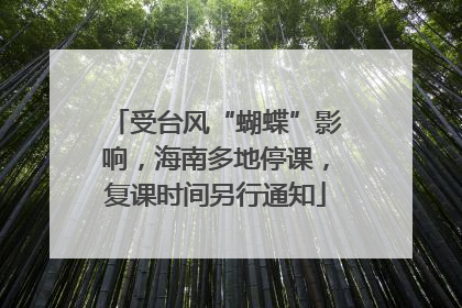 受台风“蝴蝶”影响，海南多地停课，复课时间另行通知