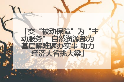 变“被动保障”为“主动服务” 自然资源部为基层解难题办实事 助力经济大省挑大梁
